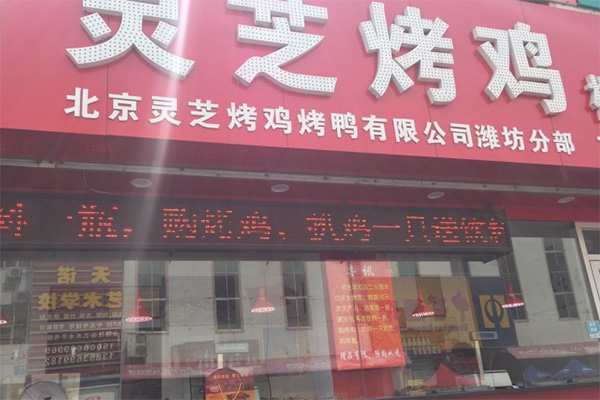 灵芝烤鸡加盟店