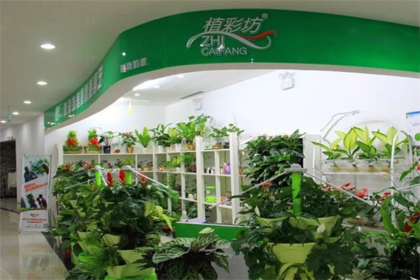 植彩坊加盟门店