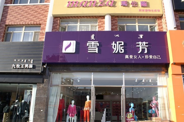 雪妮芳内衣加盟