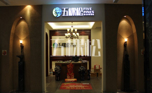 五棵松硅藻泥加盟