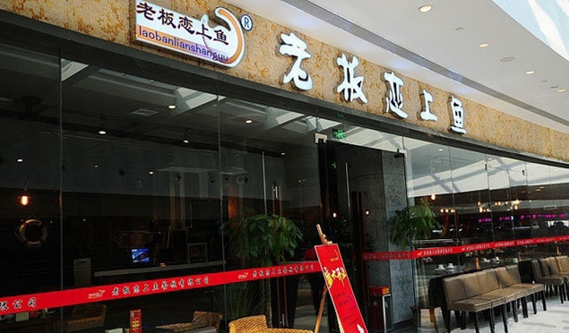 老板恋上鱼加盟