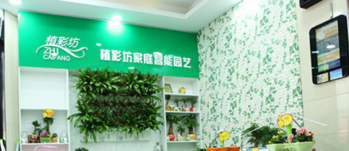 植彩坊加盟