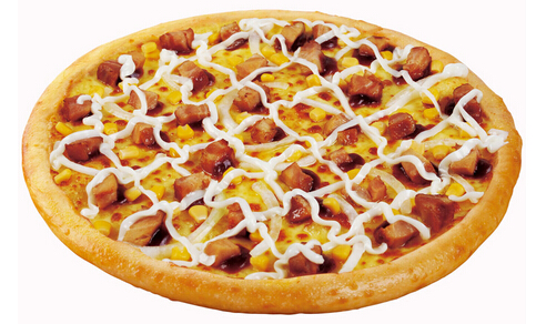 意味特披萨加盟