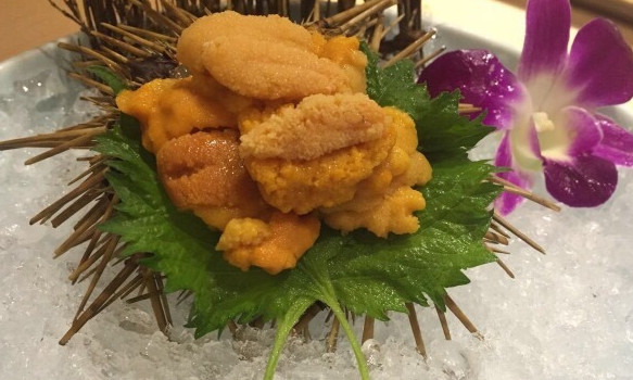 骏甲屋の夜桜加盟