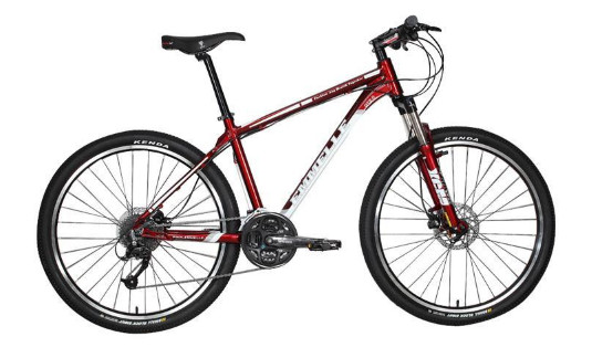 阿米尼自行车加盟