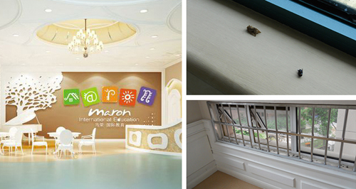 马荣国际幼儿园加盟店