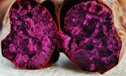 博士地瓜坊加盟