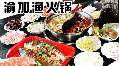 渝加渔火锅加盟