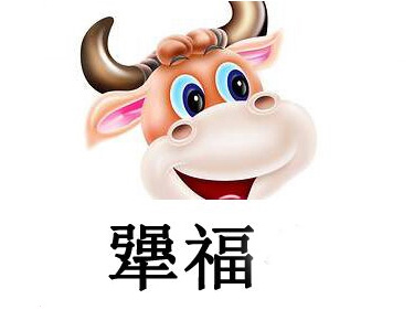 犟福牛排牛骨煲加盟费