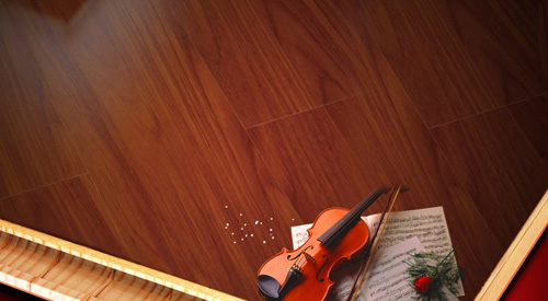 圣保罗地板加盟