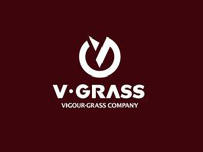 维格娜丝加盟费