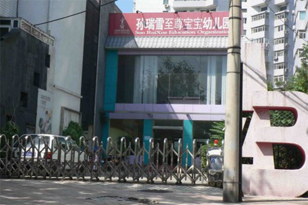 孙瑞雪教育机构加盟