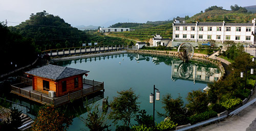 品品香白茶加盟