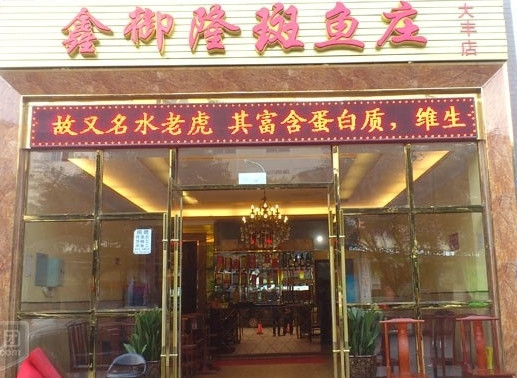 鑫御隆斑鱼庄加盟