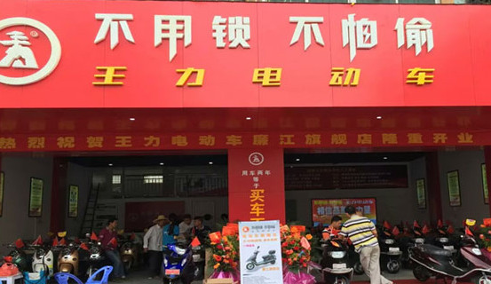 王力电动车加盟