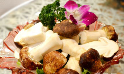 何鲜菇火锅加盟