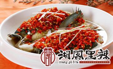 湘阁里辣加盟