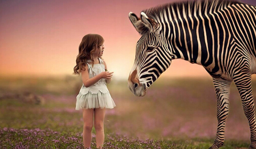 qq宝贝儿童摄影加盟