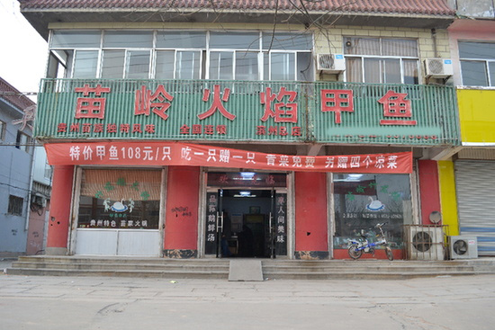 苗岭火焰甲鱼门店