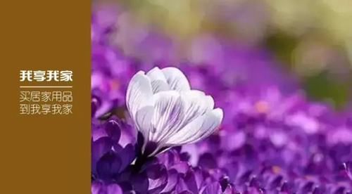 我享我家加盟