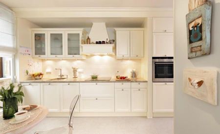 雅丽家橱柜加盟