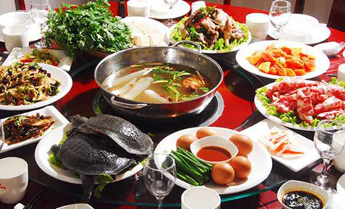 苗岭火焰甲鱼加盟