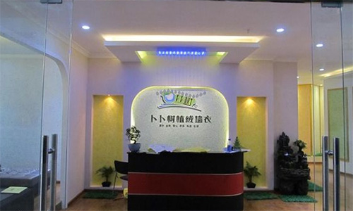 卜卜树墙衣加盟店