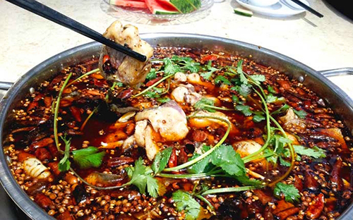 林记盆景鱼火锅加盟