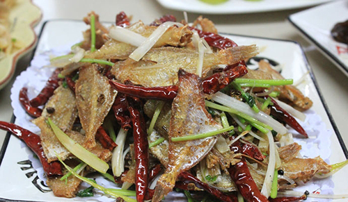 苗岭火焰甲鱼加盟