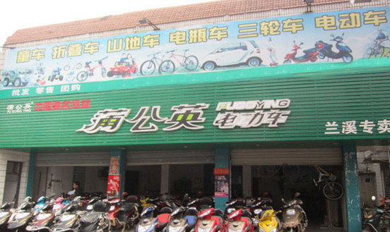 蒲公英电动车加盟