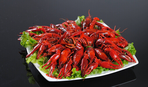 邵伯龙虾加盟