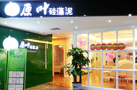 原叶硅藻泥加盟