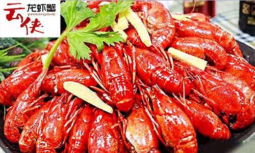 云侠龙虾加盟