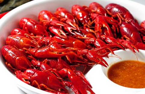 朱大龙虾加盟