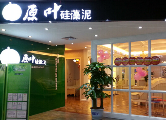原叶硅藻泥加盟
