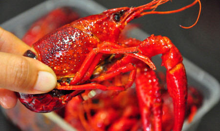 胖丁小龙虾加盟