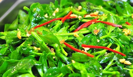 素耕自助健康蔬食汇加盟