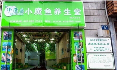 小魔鱼养生堂加盟店