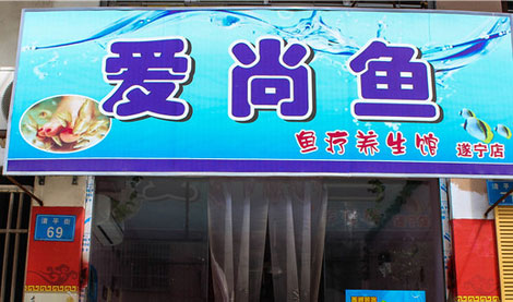 爱尚鱼鱼疗养生馆加盟