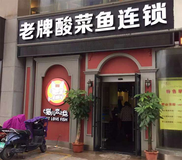 猫儿恋上鱼加盟店