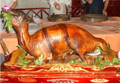 杨正宗烤全羊加盟费