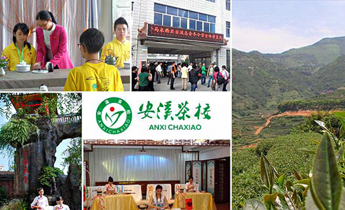安溪茶校技术培训加盟