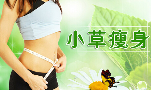 小草瘦身加盟