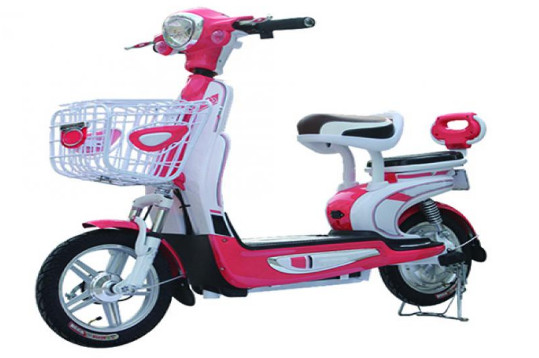 飘洋电动车加盟