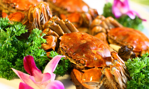 一闻香迷宗蟹加盟