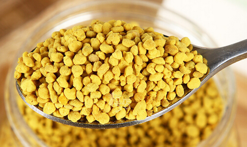 养生源蜂业加盟