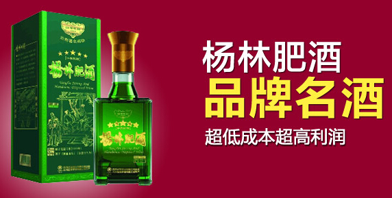 杨林肥酒加盟