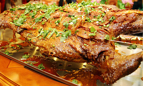 杨正宗烤全羊加盟