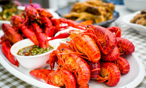 虾庭院坝小龙虾加盟