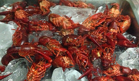 蓝胖纸龙虾面馆加盟